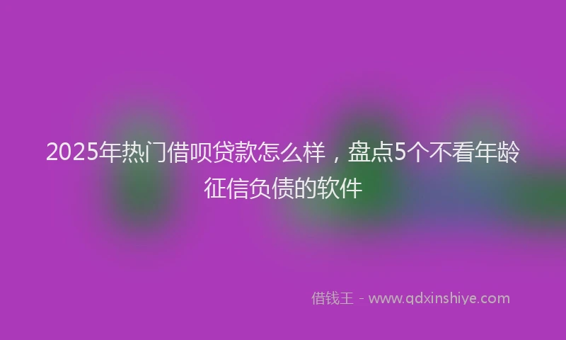 2025年热门借呗贷款怎么样，盘点5个不看年龄征信负债的软件