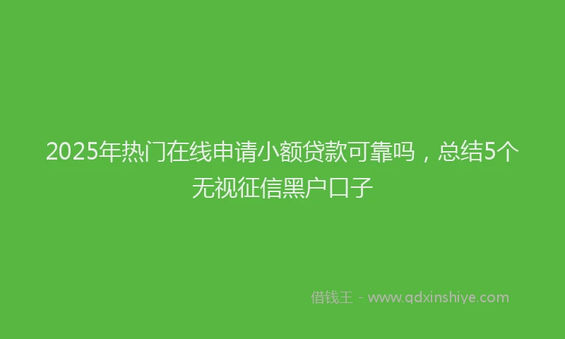 2025年热门在线申请小额贷款可靠吗，总结5个无视征信黑户口子