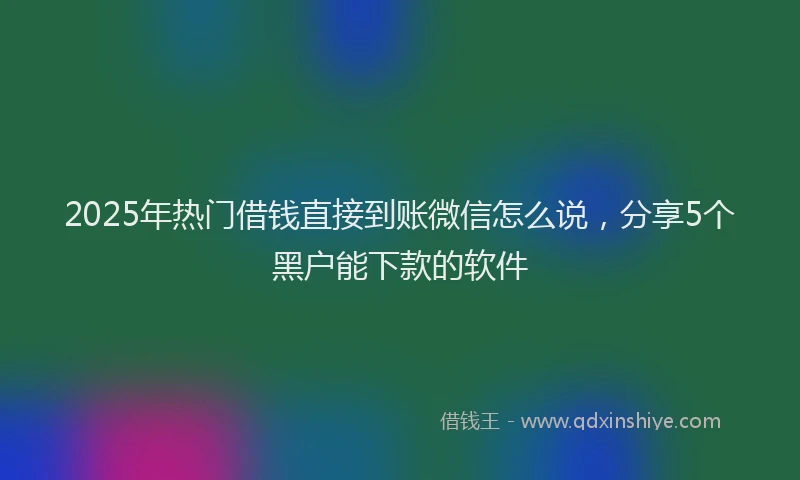 2025年热门借钱直接到账微信怎么说，分享5个黑户能下款的软件