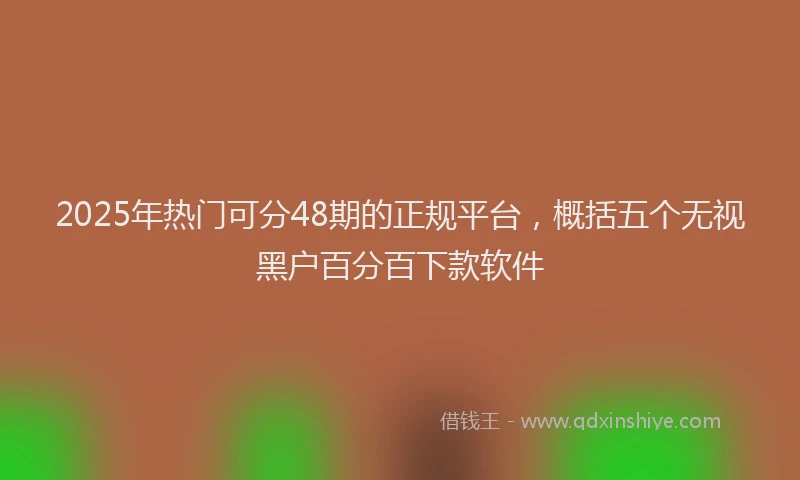 2025年热门可分48期的正规平台，概括五个无视黑户百分百下款软件
