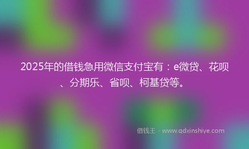 2025年的借钱急用微信支付宝有：e微贷、花呗、分期乐、省呗、柯基贷等。
