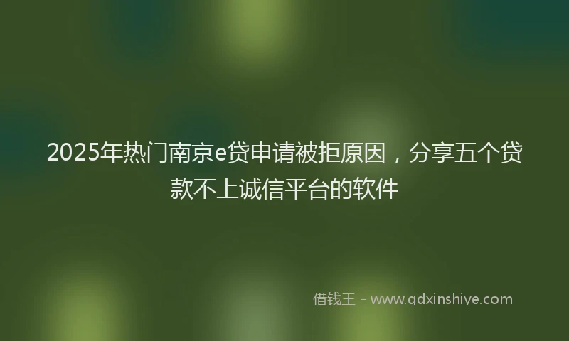 2025年热门南京e贷申请被拒原因，分享五个贷款不上诚信平台的软件