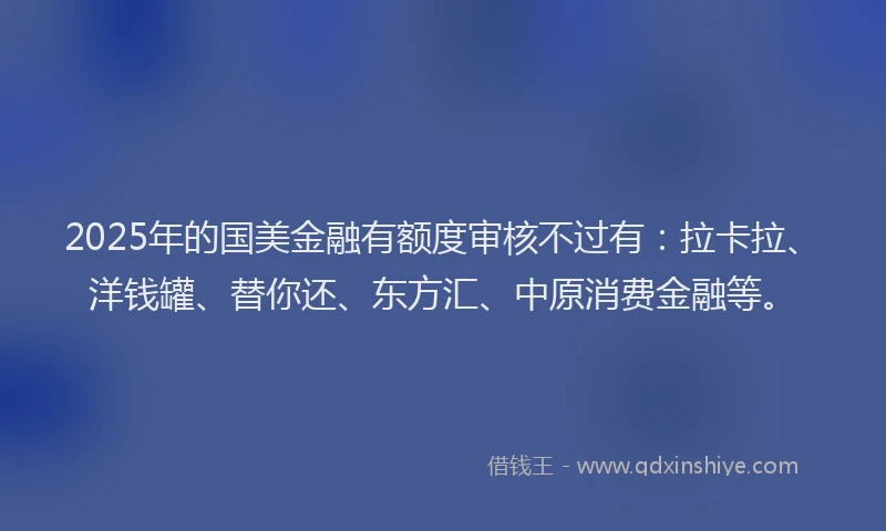 2025年的国美金融有额度审核不过有：拉卡拉、洋钱罐、替你还、东方汇、中原消费金融等。