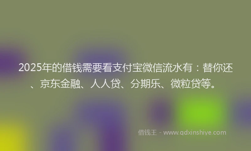 2025年的借钱需要看支付宝微信流水有：替你还、京东金融、人人贷、分期乐、微粒贷等。