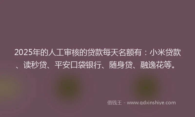 2025年的人工审核的贷款每天名额有：小米贷款、读秒贷、平安口袋银行、随身贷、融逸花等。