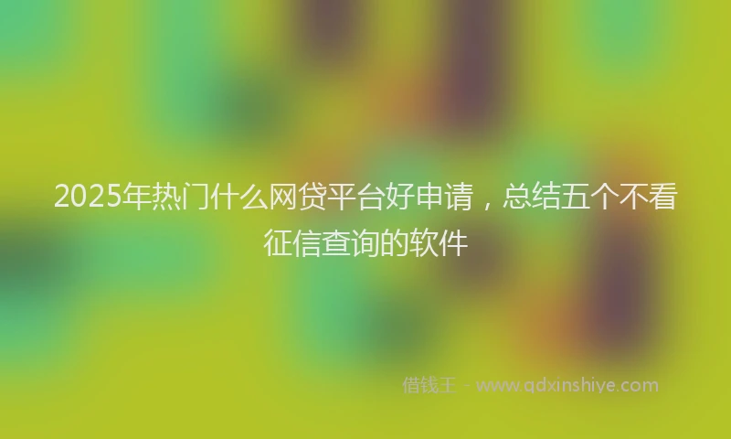 2025年热门什么网贷平台好申请，总结五个不看征信查询的软件