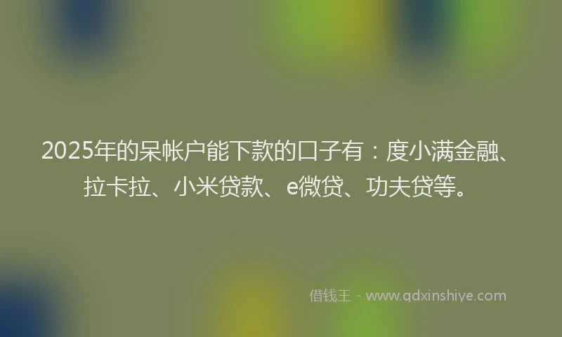 2025年的呆帐户能下款的口子有：度小满金融、拉卡拉、小米贷款、e微贷、功夫贷等。