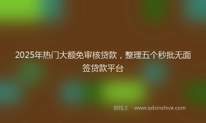 2025年热门大额免审核贷款，整理五个秒批无面签贷款平台