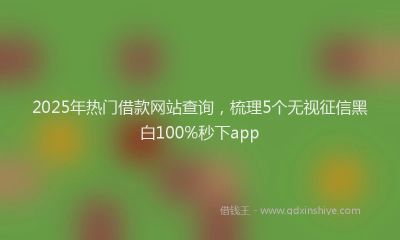 2025年热门借款网站查询，梳理5个无视征信黑白100%秒下app