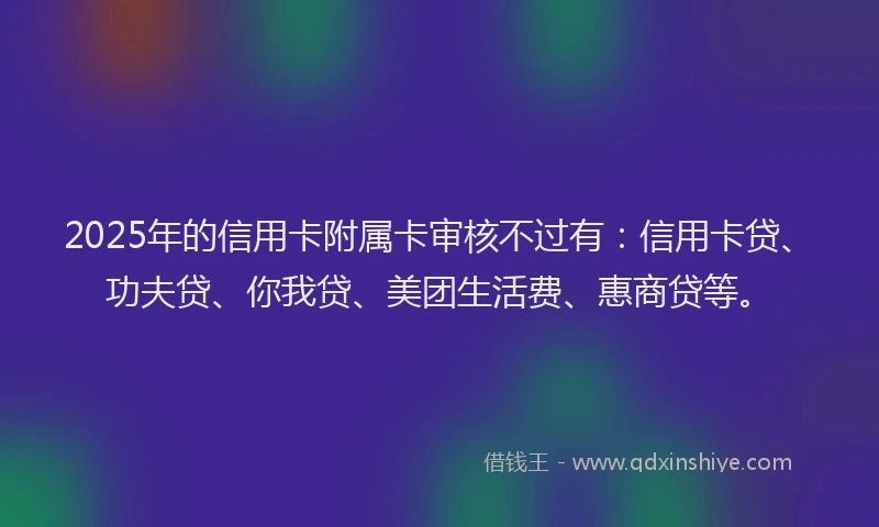 2025年的信用卡附属卡审核不过有：信用卡贷、功夫贷、你我贷、美团生活费、惠商贷等。