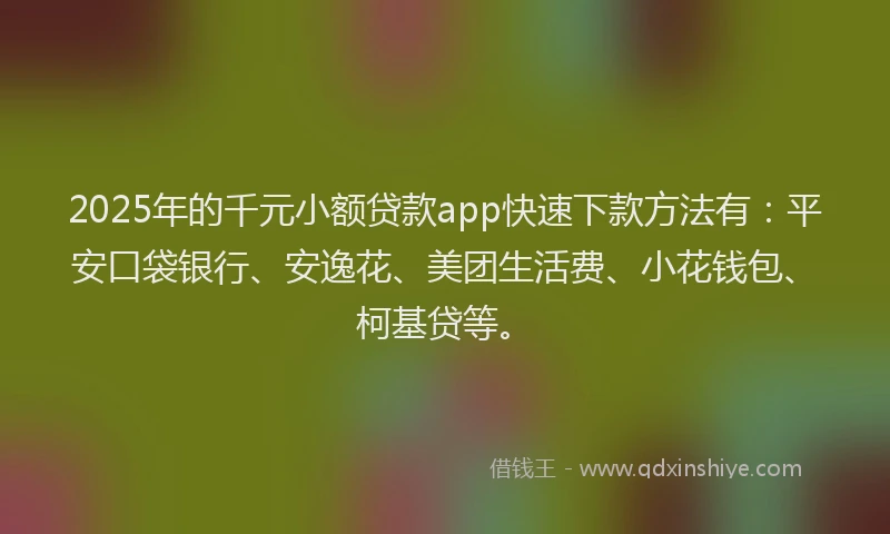 2025年的千元小额贷款app快速下款方法有：平安口袋银行、安逸花、美团生活费、小花钱包、柯基贷等。