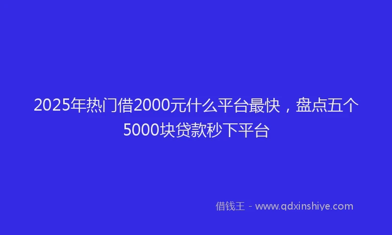 2025年热门借2000元什么平台最快,盘点五个5000块贷款秒下平台
