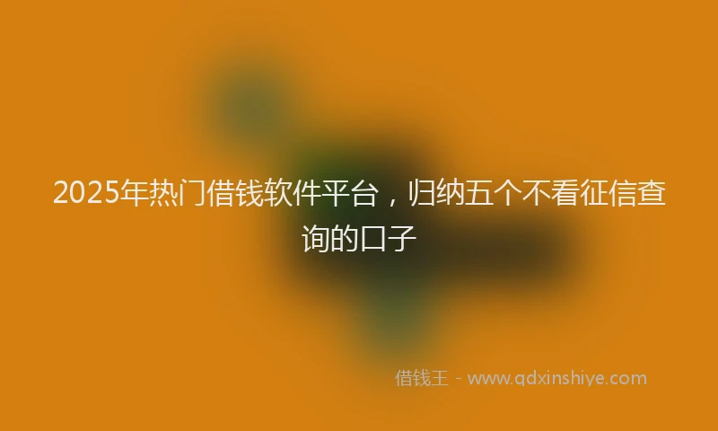 2025年热门借钱软件平台，归纳五个不看征信查询的口子