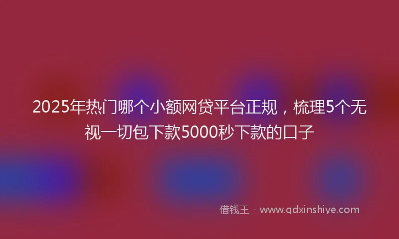 2025年热门哪个小额网贷平台正规，梳理5个无视一切包下款5000秒下款的口子