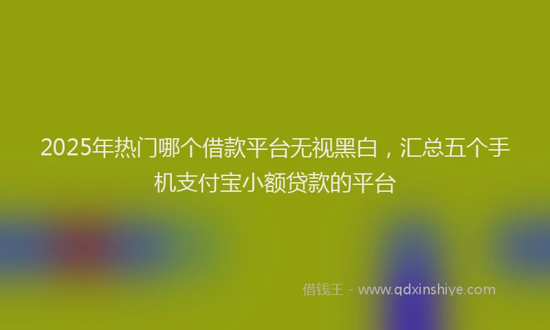 2025年热门哪个借款平台无视黑白，汇总五个手机支付宝小额贷款的平台