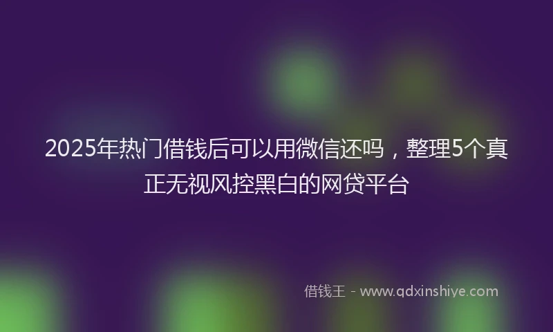 2025年热门借钱后可以用微信还吗，整理5个真正无视风控黑白的网贷平台
