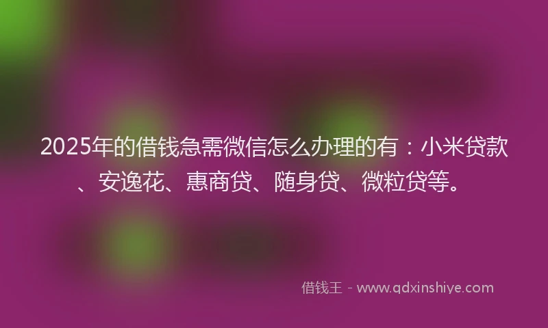 2025年的借钱急需微信怎么办理的有：小米贷款、安逸花、惠商贷、随身贷、微粒贷等。