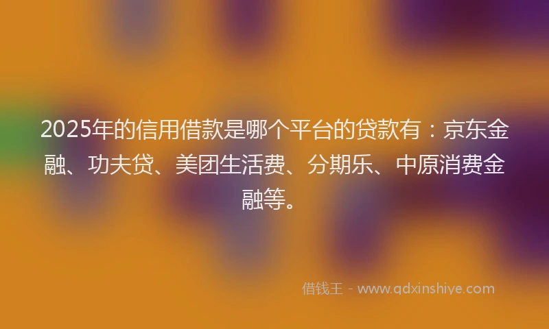 2025年的信用借款是哪个平台的贷款有：京东金融、功夫贷、美团生活费、分期乐、中原消费金融等。
