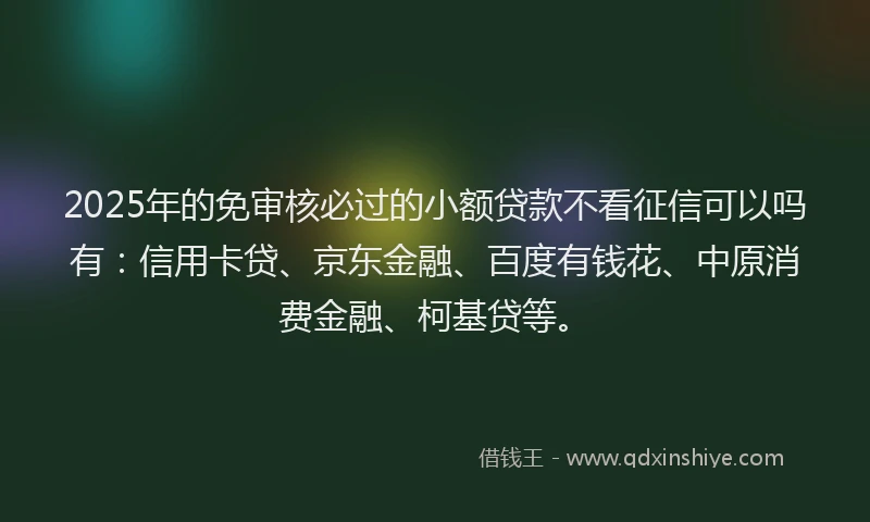2025年的免审核必过的小额贷款不看征信可以吗有：信用卡贷、京东金融、百度有钱花、中原消费金融、柯基贷等。