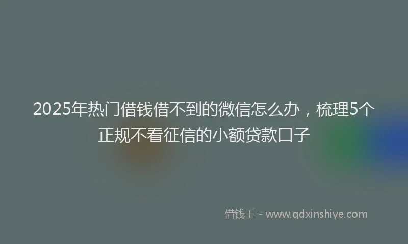 2025年热门借钱借不到的微信怎么办，梳理5个正规不看征信的小额贷款口子