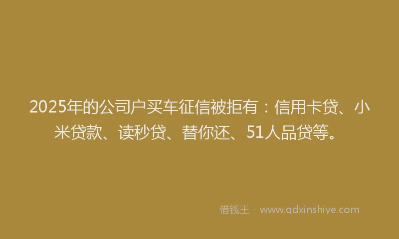 2025年的公司户买车征信被拒有：信用卡贷、小米贷款、读秒贷、替你还、51人品贷等。