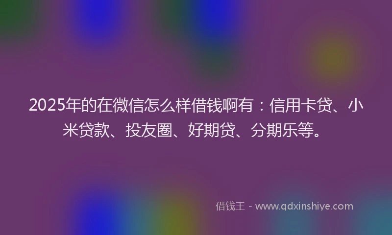 2025年的在微信怎么样借钱啊有：信用卡贷、小米贷款、投友圈、好期贷、分期乐等。