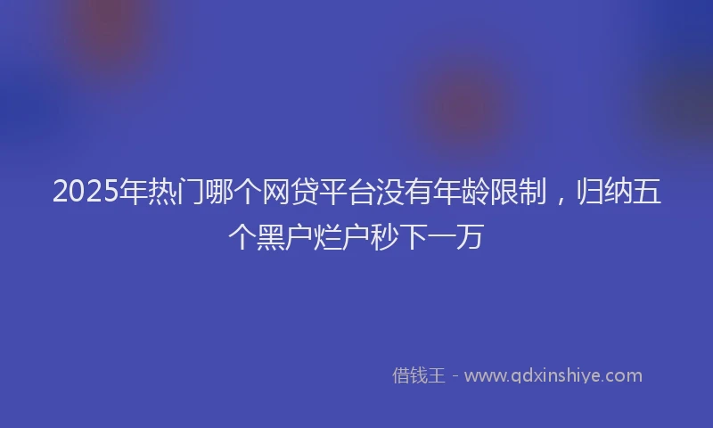 2025年热门哪个网贷平台没有年龄限制，归纳五个黑户烂户秒下一万
