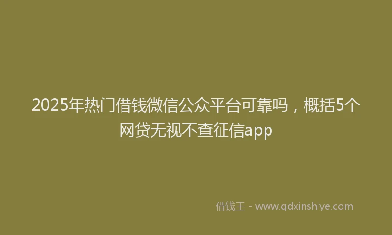 2025年热门借钱微信公众平台可靠吗，概括5个网贷无视不查征信app