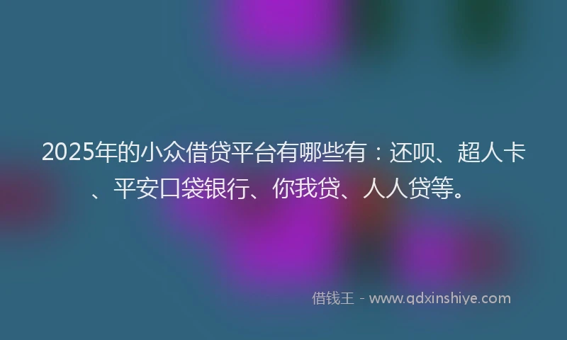 2025年的小众借贷平台有哪些有：还呗、超人卡、平安口袋银行、你我贷、人人贷等。