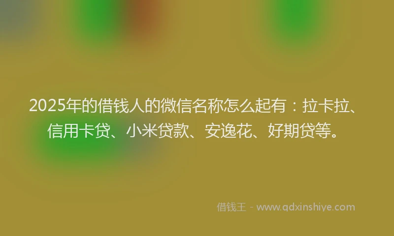 2025年的借钱人的微信名称怎么起有：拉卡拉、信用卡贷、小米贷款、安逸花、好期贷等。