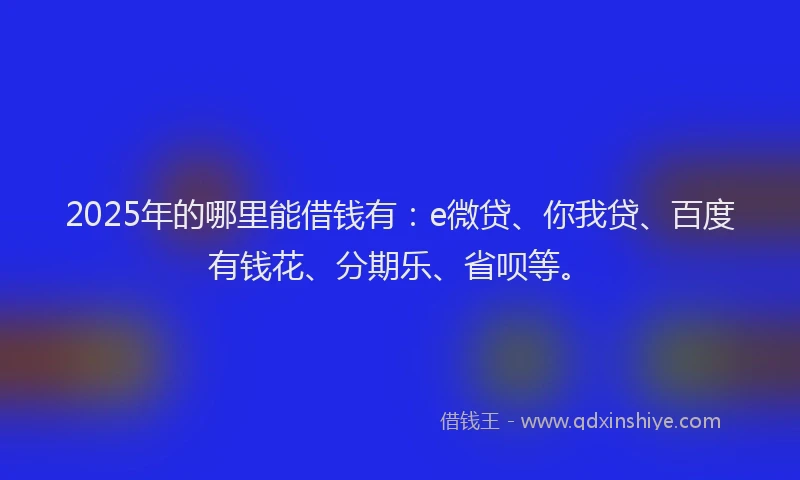 2025年的哪里能借钱有：e微贷、你我贷、百度有钱花、分期乐、省呗等。