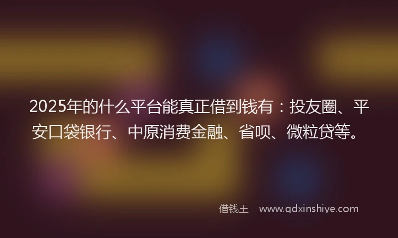2025年的什么平台能真正借到钱有：投友圈、平安口袋银行、中原消费金融、省呗、微粒贷等。