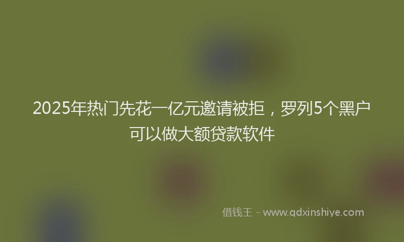 2025年热门先花一亿元邀请被拒，罗列5个黑户可以做大额贷款软件