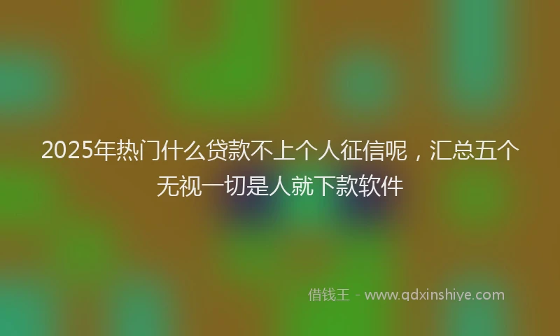 2025年热门什么贷款不上个人征信呢，汇总五个无视一切是人就下款软件