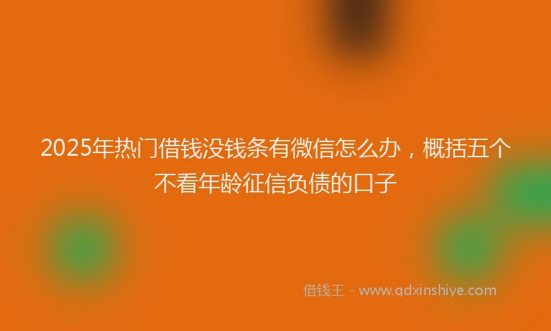 2025年热门借钱没钱条有微信怎么办，概括五个不看年龄征信负债的口子
