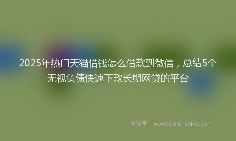 2025年热门天猫借钱怎么借款到微信，总结5个无视负债快速下款长期网贷的平台