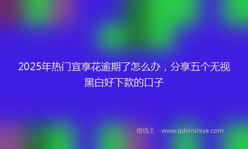 2025年热门宜享花逾期了怎么办，分享五个无视黑白好下款的口子