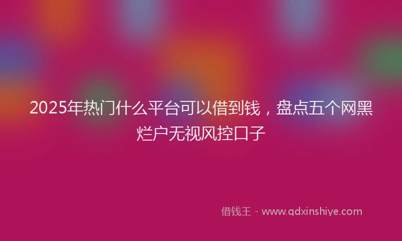 2025年热门什么平台可以借到钱，盘点五个网黑烂户无视风控口子