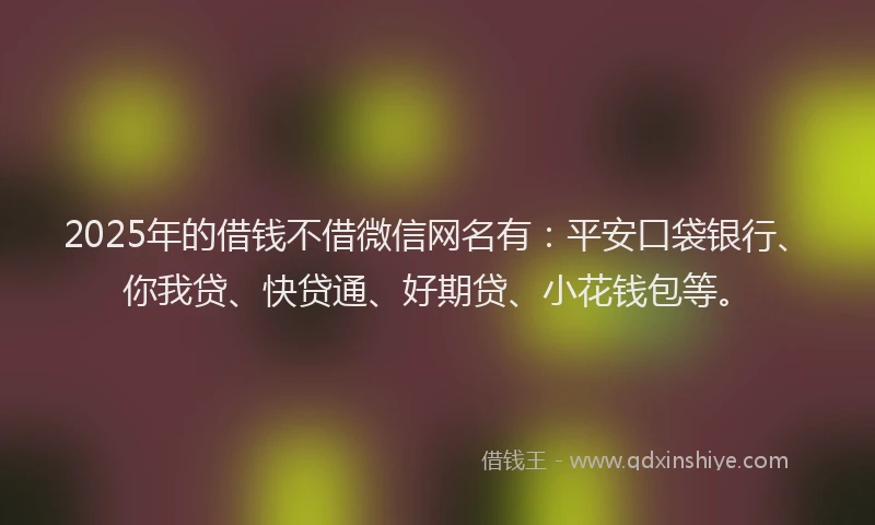 2025年的借钱不借微信网名有：平安口袋银行、你我贷、快贷通、好期贷、小花钱包等。