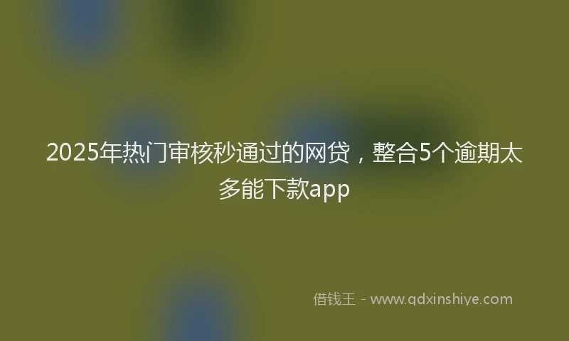2025年热门审核秒通过的网贷，整合5个逾期太多能下款app