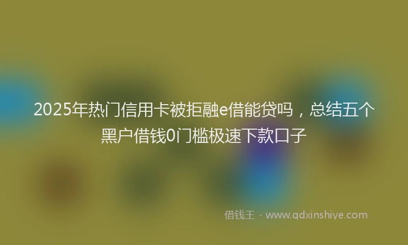 2025年热门信用卡被拒融e借能贷吗，总结五个黑户借钱0门槛极速下款口子