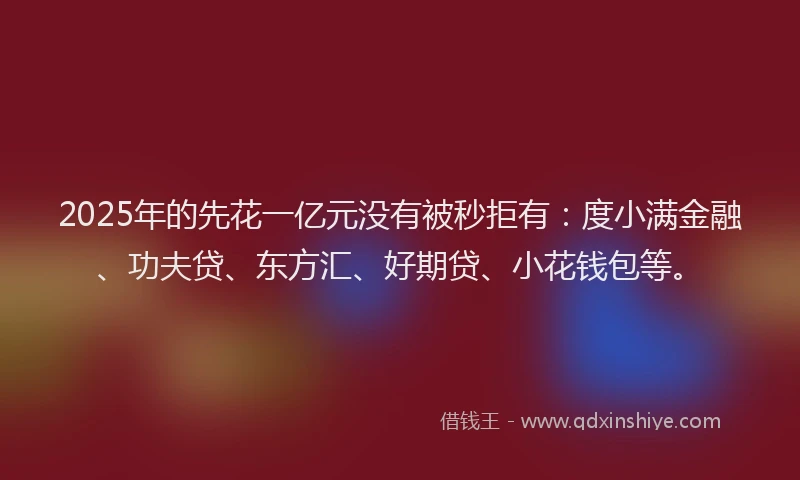 2025年的先花一亿元没有被秒拒有：度小满金融、功夫贷、东方汇、好期贷、小花钱包等。
