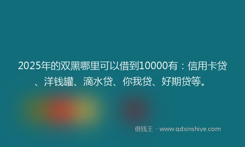 2025年的双黑哪里可以借到10000有：信用卡贷、洋钱罐、滴水贷、你我贷、好期贷等。