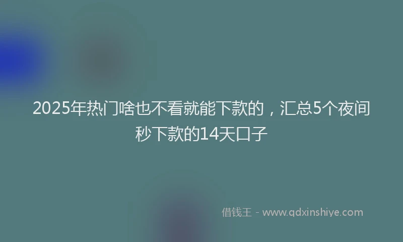 2025年热门啥也不看就能下款的，汇总5个夜间秒下款的14天口子