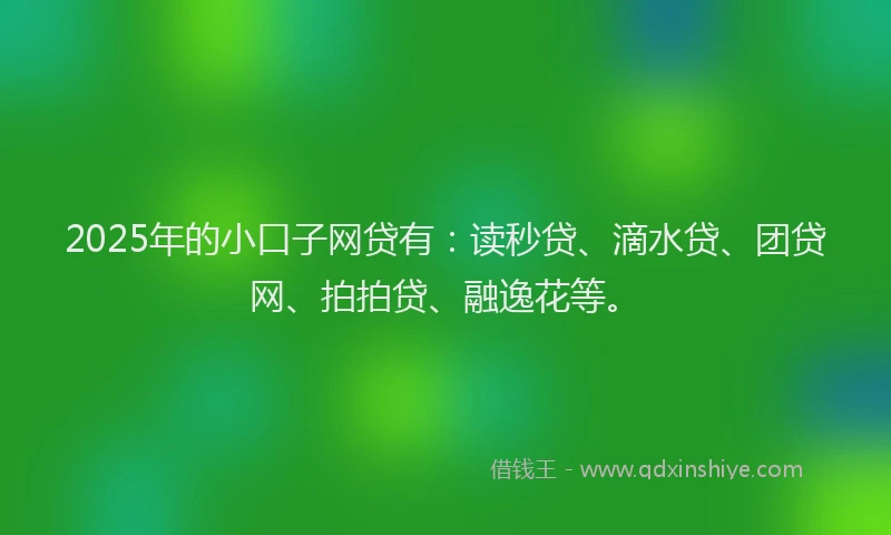 2025年的小口子网贷有：读秒贷、滴水贷、团贷网、拍拍贷、融逸花等。
