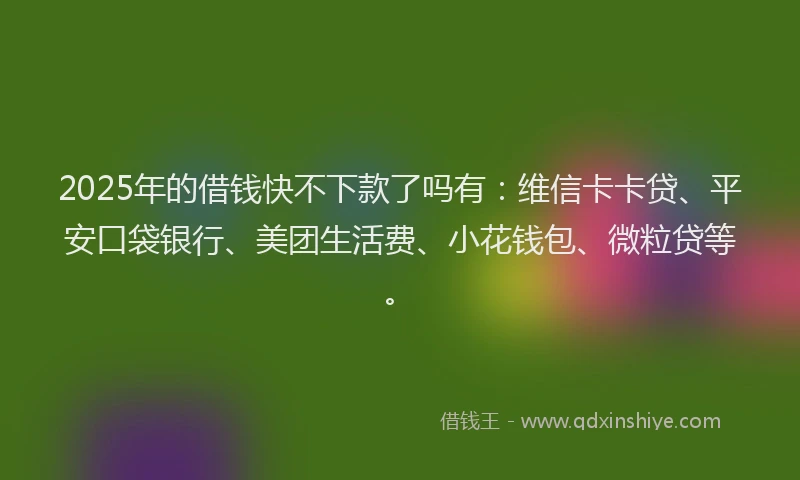 2025年的借钱快不下款了吗有：维信卡卡贷、平安口袋银行、美团生活费、小花钱包、微粒贷等。