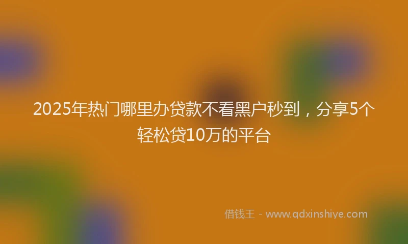 2025年热门哪里办贷款不看黑户秒到，分享5个轻松贷10万的平台