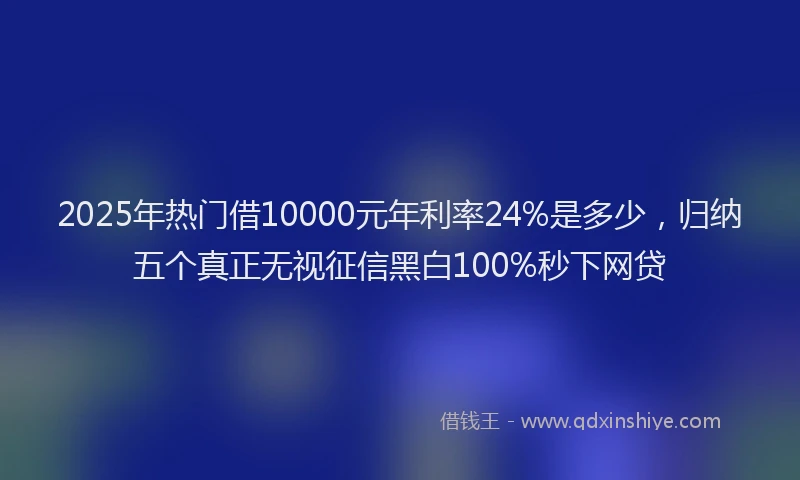 2025年热门借10000元年利率24%是多少，归纳五个真正无视征信黑白100%秒下网贷