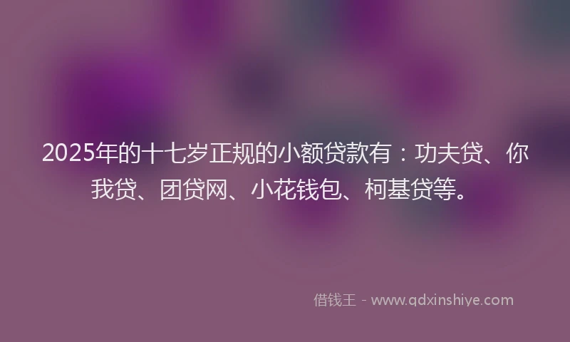 2025年的十七岁正规的小额贷款有：功夫贷、你我贷、团贷网、小花钱包、柯基贷等。