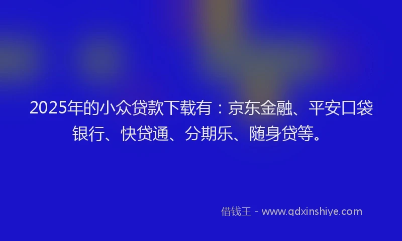 2025年的小众贷款下载有：京东金融、平安口袋银行、快贷通、分期乐、随身贷等。